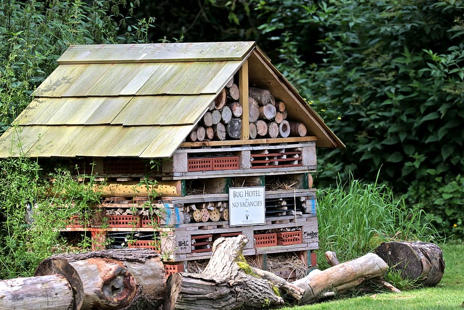 Bug, Hotel, Oakley Court, Wood, bug hotel, oakley court hotel, insect, worm, house, wood - material
