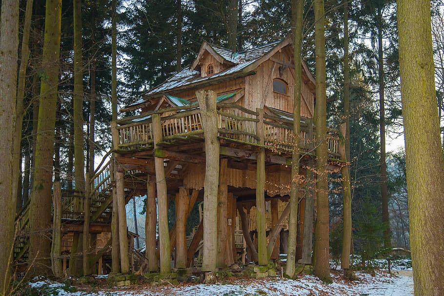 brown, tree house, surrounded, trees, vacation, treehouse, tree hut, live, apartment, tripsdrill