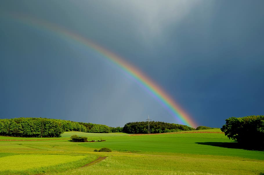 rainbow, trees, grasses, daytime, weather, nature, mood, natural phenomenon, rainbow colors, sky