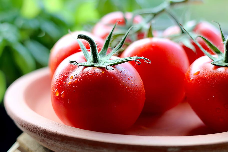 mojado, tomates, placa, fresco, rojo, maduro, organice, natural, jardín, saludable