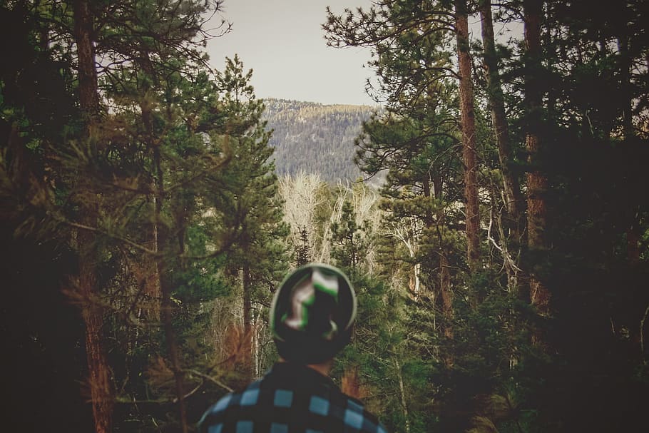 forest, woods, trees, nature, outdoors, landscape, guy, toque, hat, people