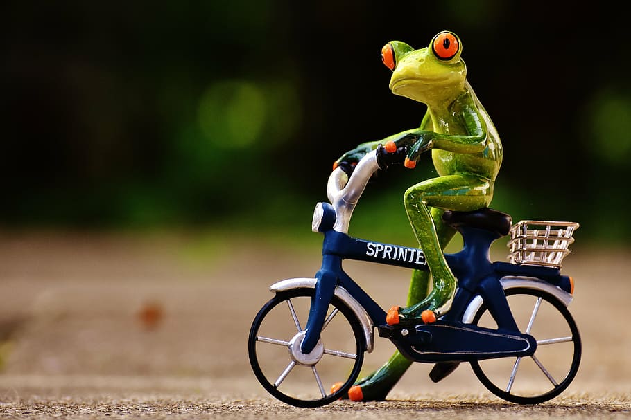 kermit, frog, riding, bike, funny, cute, sweet, figure, drive, toy