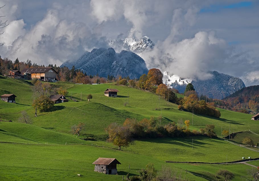 山, 雪, ニュージーランド, 雲, スイス, 風景, spiez, 風景-自然, 環境, 自然の美しさ