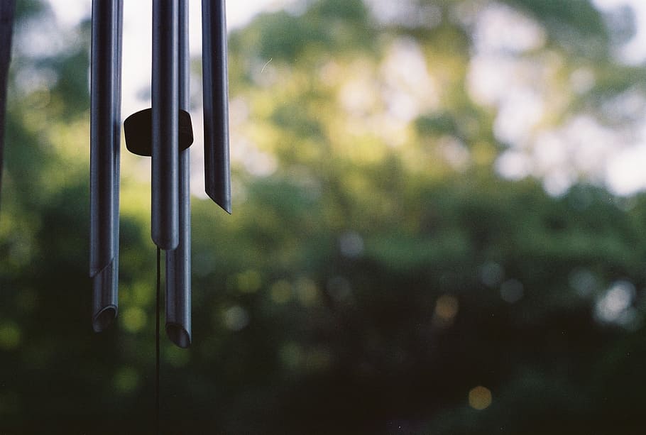 focus, pic, nature, focus on foreground, metal, close-up, day, window, outdoors, tree