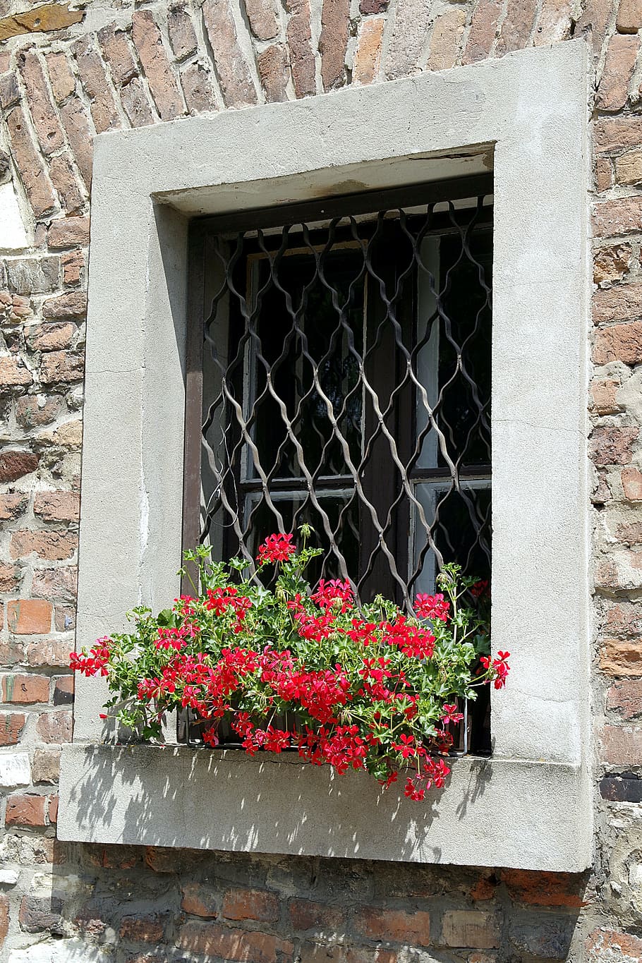 window, trellis, geraniums, flowers, wall, decorative, okratowane, façades, old, kamienica