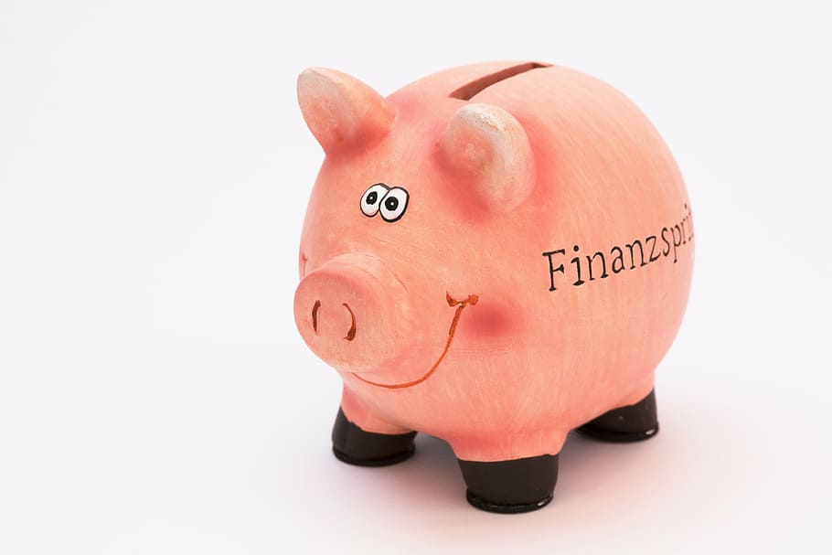 pink piggy bank, piggy bank, save, cash injection, money, finance, economical, pig, save money, savings