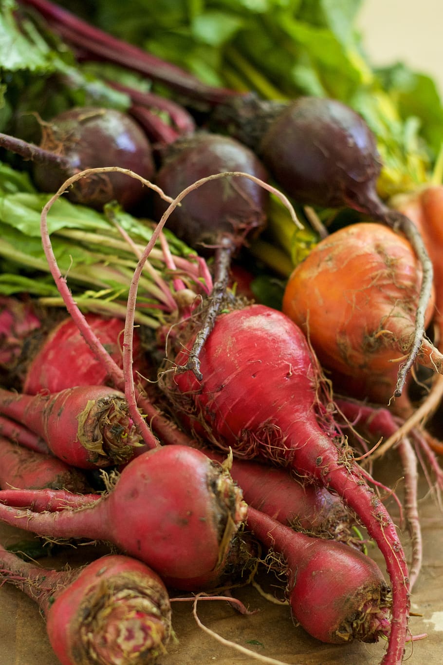 beet, greens, vegetable, food and drink, food, healthy eating, wellbeing, freshness, root vegetable, close-up