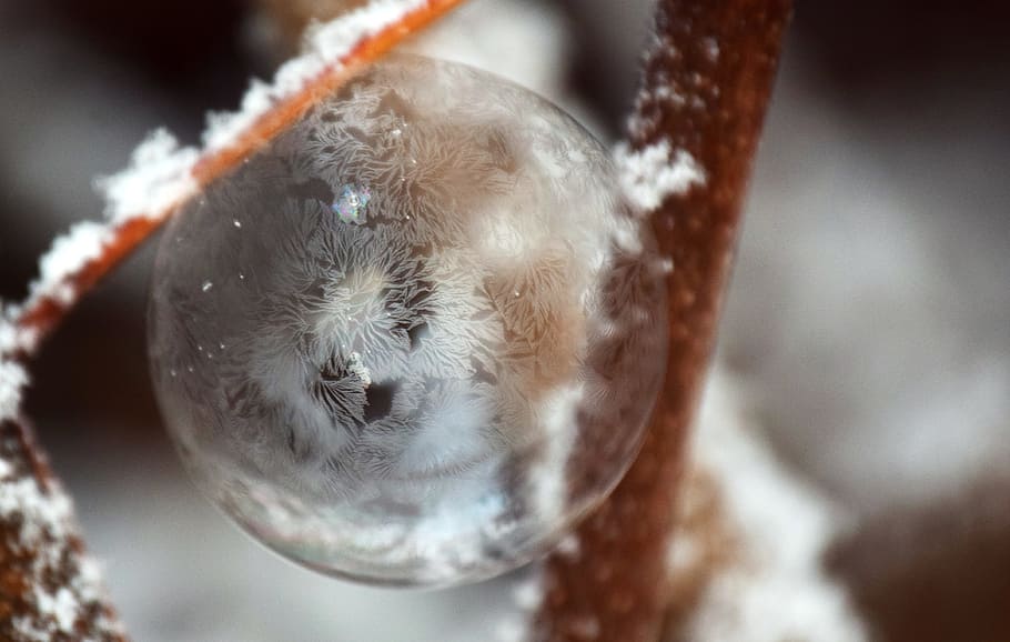 bubble, soap bubble, frozen, frozen bubble, ball, transparent, winter, transient, sensitive, slightly
