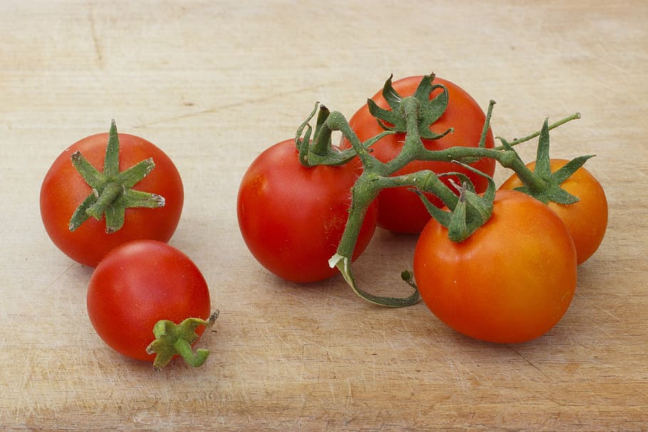 tomate, vermelho, saboroso, vitaminas, três, comida, fundo branco, apetitoso, vegetal, frescura