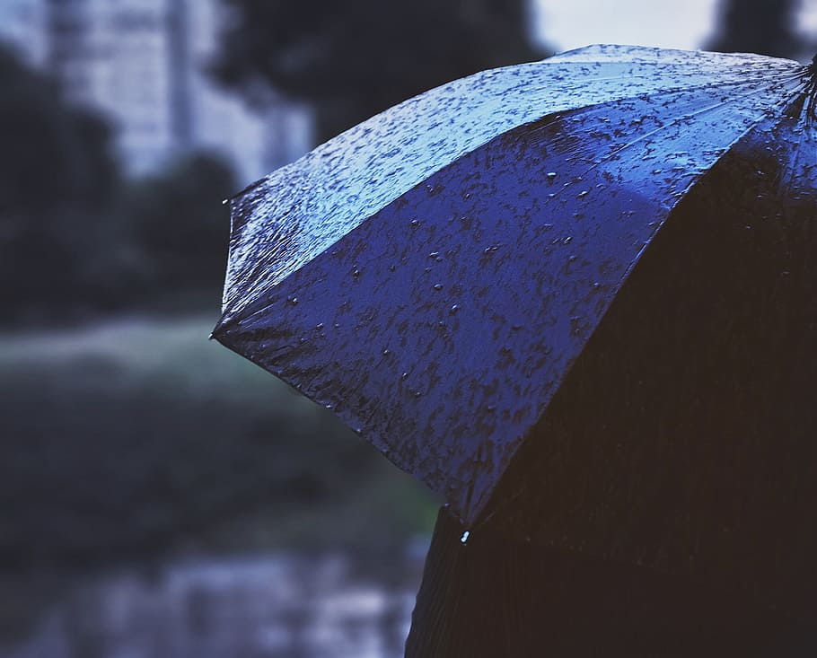 fuji, nikon, umbrella, focus on foreground, close-up, water, wet, protection, nature, rain