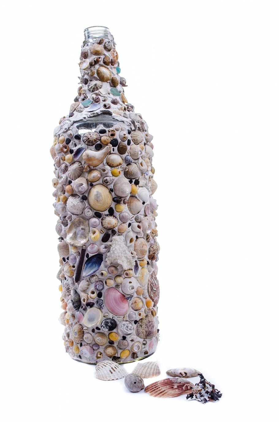 garrafa, conchas, vidro, arte, mar, decoração, praia, isolado, branco, fundo