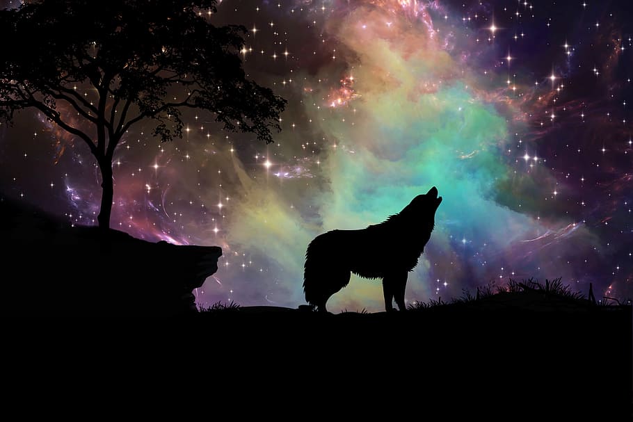 silhouette, wolf, nighttime, galaxy, nebula, stars, digital art, space, sky, cosmos