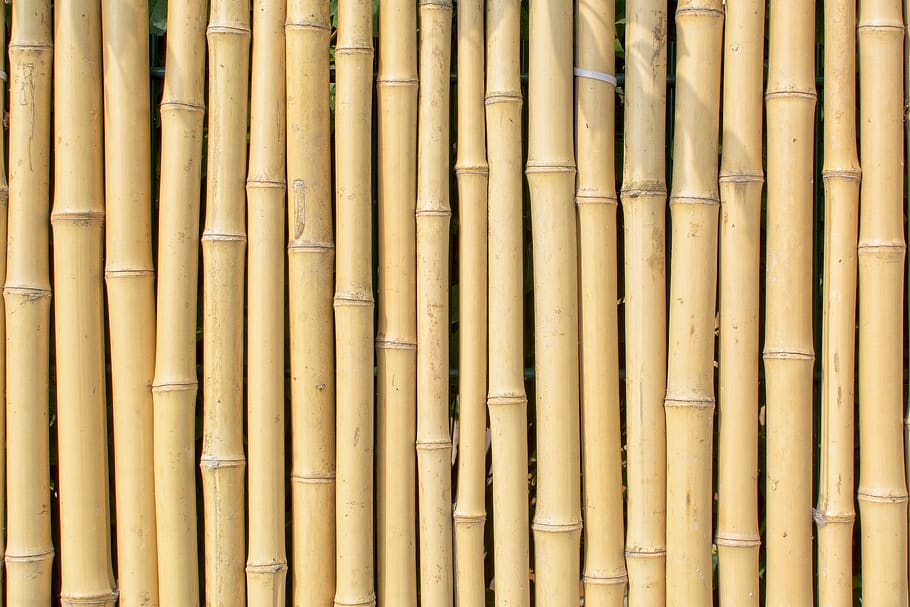 texture, background, bamboo, pattern, surface, structure, nature, full frame, backgrounds, wood - material