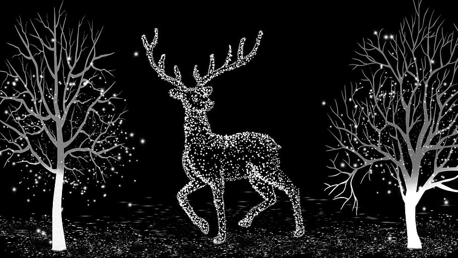 winter, light, winter trees, wintry, christmas, deer, illuminated, reindeer, decoration, celebration