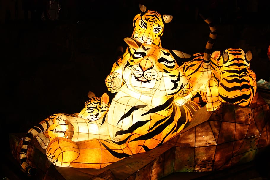 tigre, festival de los faroles, corriente de cheonggyecheon, festival de kkotdeung, artículo isométrico, arte y artesanía, creatividad, representación, creencia, religión