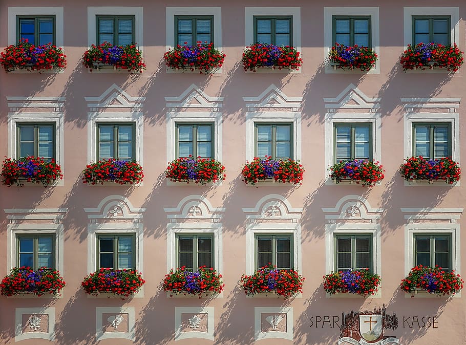 rosado, blanco, concreto, papel tapiz del edificio, hogar, arquitectura, ventana, balcón, flores, fachada
