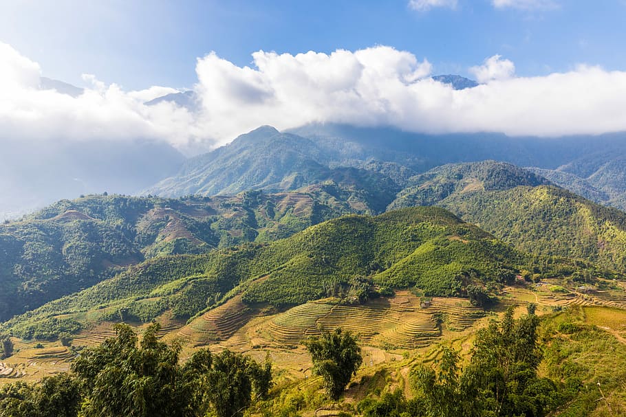 scenery, mountain hills, nature, landscape, tree, mountain, sky, sapa, vietnam, rice fields