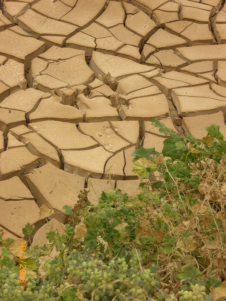 Drought, Dry, Period, Clay, Cracks, dry period, cracked, dehydrated, desert, clay pan