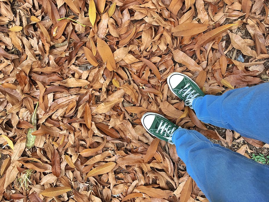 fallen leaves, autumn leaves, dried leaves, canvas shoes, converse, converse all star, green, jeans, blue jeans, clothes