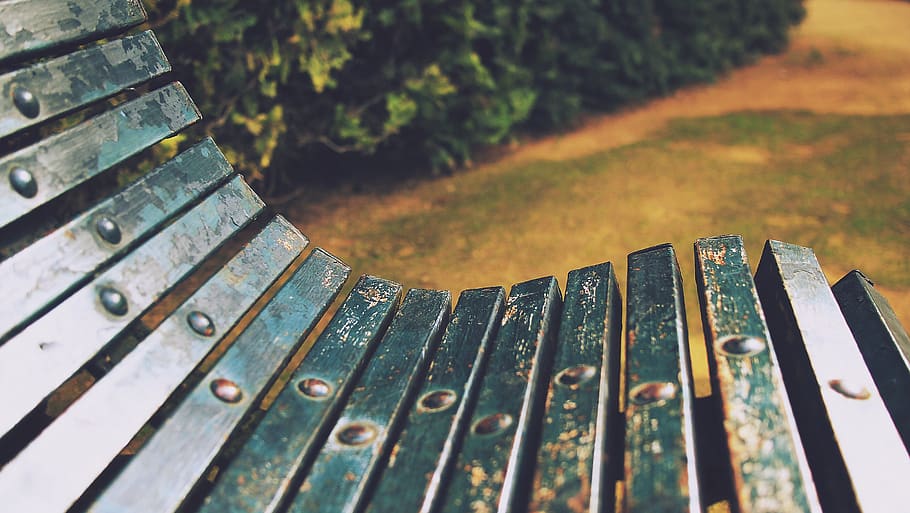 park, bench, close-up, metal, selective focus, nature, plant, day, wood - material, seat