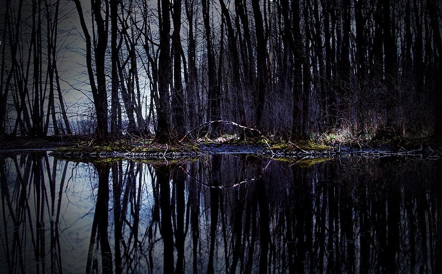 body, water, forest, czech republic, czech budejovice, pond, dark, solitude, fear, clouds