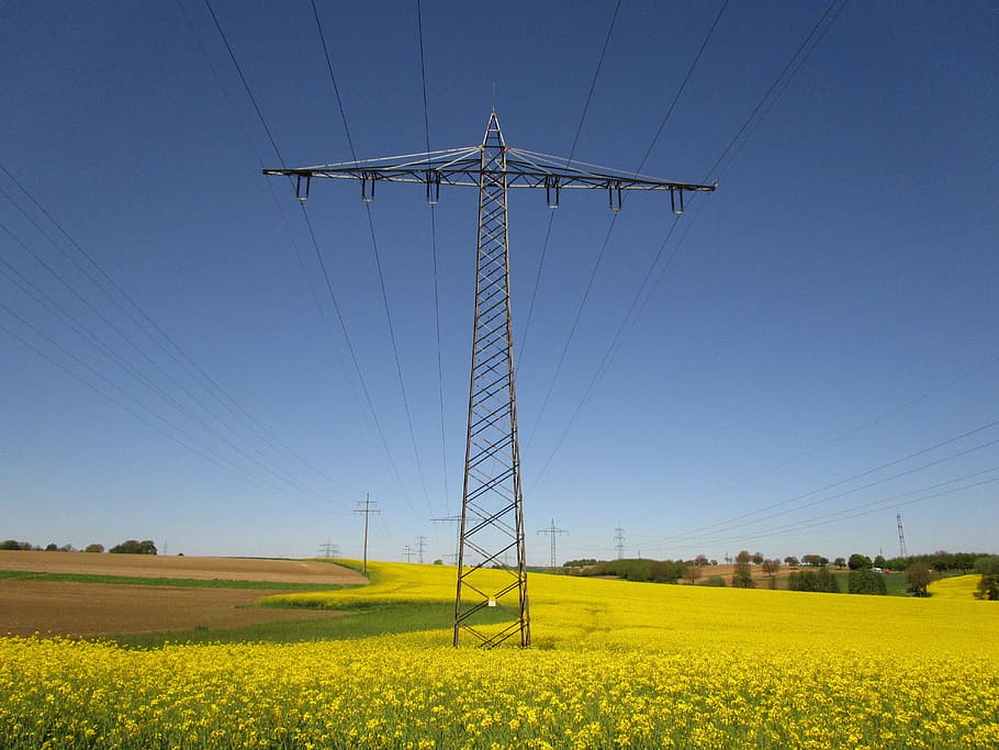 gray, steel utility pole, middle, grass, daytime, Oilseed Rape, Current, strommast, electricity, power line