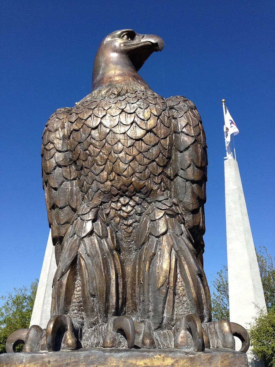 Bald Eagle, Bronze, Freedom, eagle, dom, united states, patriotism, american, patriotic, majestic