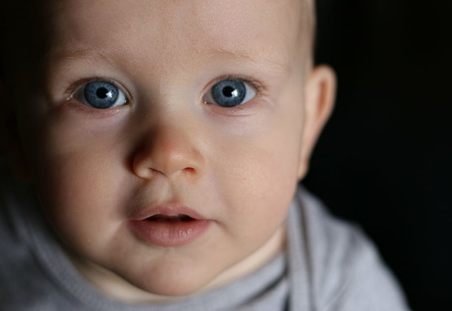 foto, bebê, rosto, infantil, azul, olhos, menino, criança, bonito, pessoas