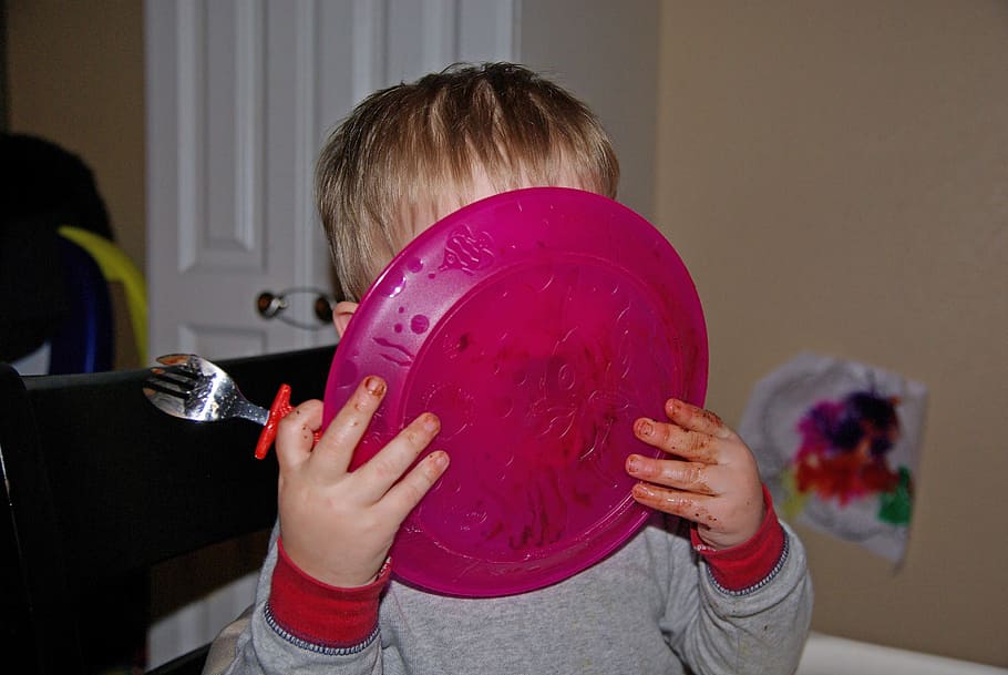 toddler, holding, pink, Child, Plate, Lick, Food, Home, kid, eating