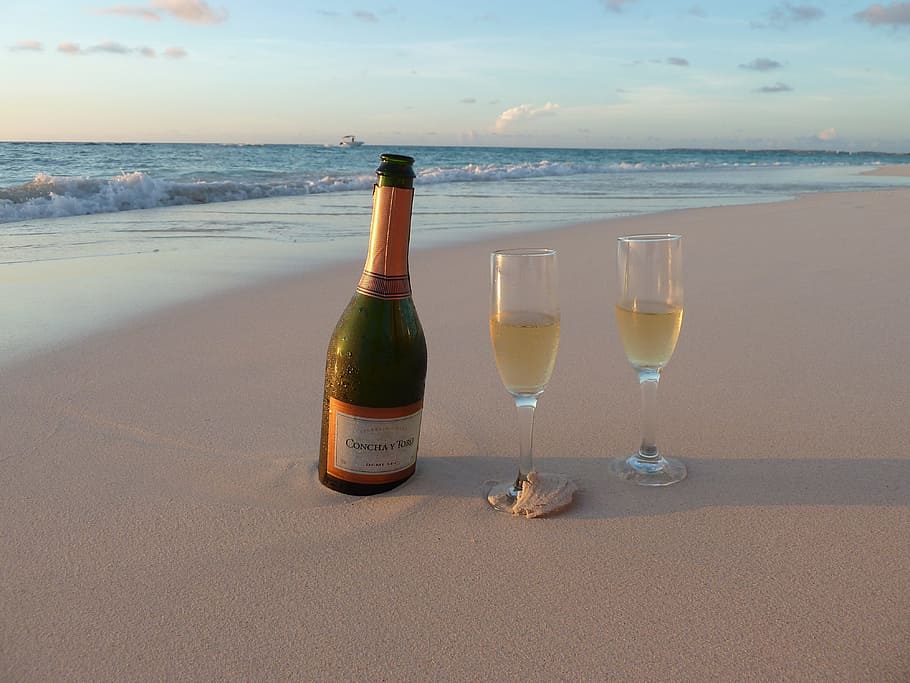 wine glass, glasses, shoreline, sea, champagne, aruba, alcohol, water, beach, horizon over water