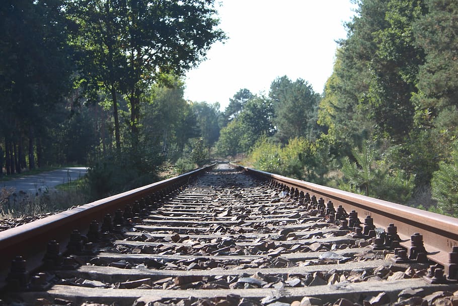 Railway, Rails, Nature, Track Bed, railway rails, seemed, track, endless, railroad track, tree