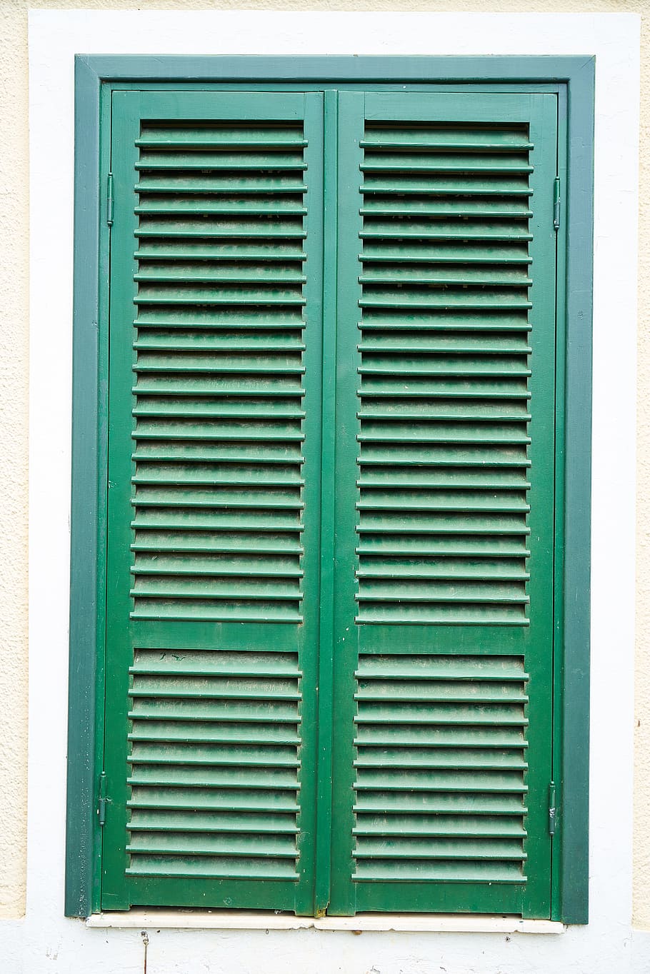 window, wood-fibre boards, door, no one, home, green, closed, wood, background, architecture