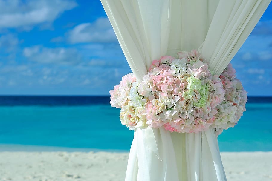 blanco, cortina, rodeado, flores, azul, cielo, playa, decoraciones, ramo de flores, isla