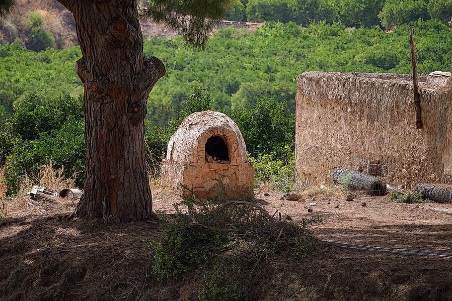 oven, a wood-burning oven, rustic, old, stone oven, tree, plant, nature, day, the past
