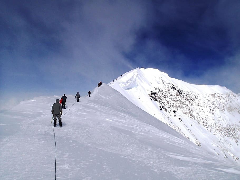 grupo, gente, en pie, montaña, cubierto, nieve, grupo de personas, alpinistas, mt mckinley, cumbre