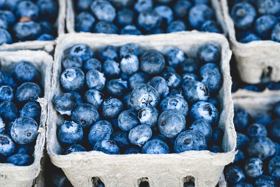 banyak blueberry, biru, blueberry, lezat, buah, makanan, makanan penutup, manis, sehat, organik