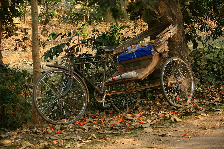 Old, Dhaka, Bangladesh, bike, photos, public domain, Rickshaw, transportation, outdoors, wheel