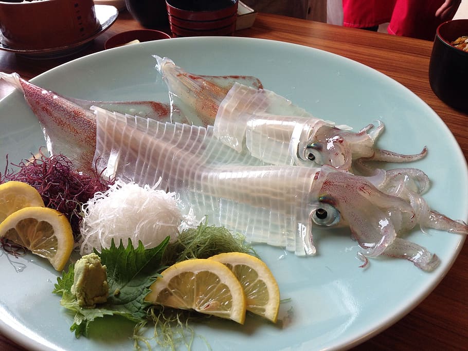 squid sashimi, placed, teal, ceramic, plate, Squid, Sashimi, Japanese, Meal, serving