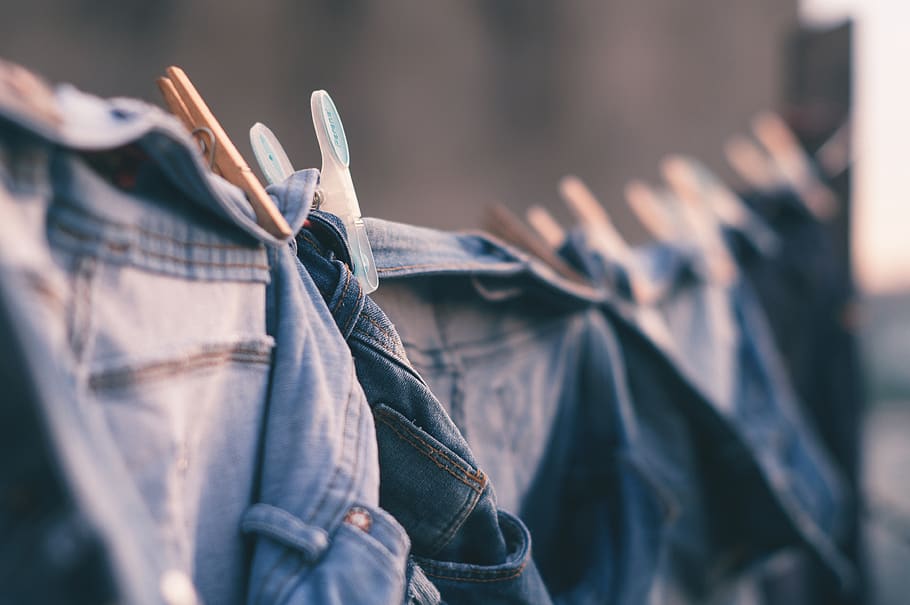 short, jeans, clipe, prendedor de roupa, lavanderia, calças, secagem ao sol, foco seletivo, roupas, enforcamento