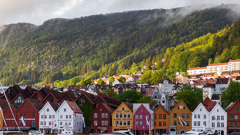 Noruega, montañas, casas, puerto, ciudad, agua, bosque, arquitectura, colorido, Árbol
