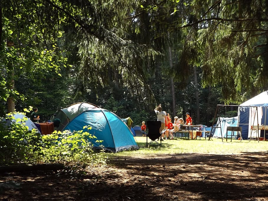 orang-orang, berkemah tenda, hijau, pohon, siang hari, sekelompok orang, tenda, kamp, ​​hutan, musim panas