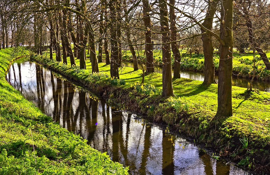 creek, green, grass, forest, ditch, moat, water, trees, reflection, banks