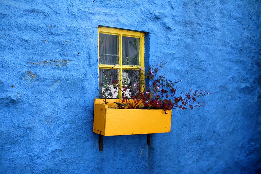 house, home, residence, exterior, concrete, blue, wall, yellow window, pane, flowers