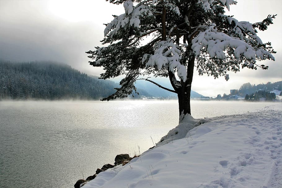 tree, snowflakes, body, water, snow, coniferous, lake, mountains, panorama, glow