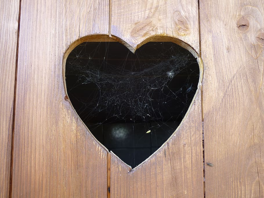 heart, door, wood, toilet door, cobweb, love, klo cottage, toilettenhaus, spider, romance