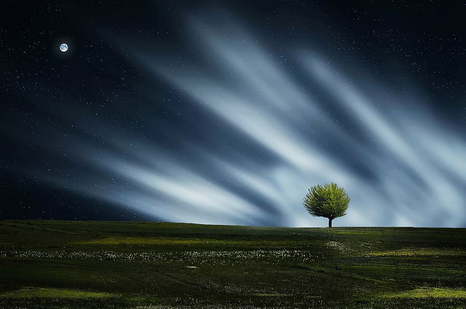 lone, tree, moon, digital, wallpaper, amazing, beautiful, beauty, blue, breathtaking