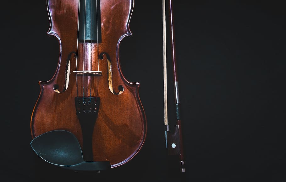 violino, música, musical, instrumento, som, melodia, instrumento musical, equipamento musical, cultura artística e entretenimento, instrumento de cordas