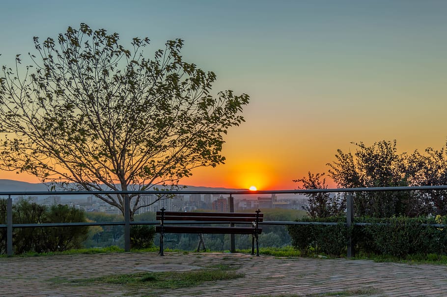 petrovaradin, fortress, serbia, architecture, europe, tourism, sky, sunset, bench, tree