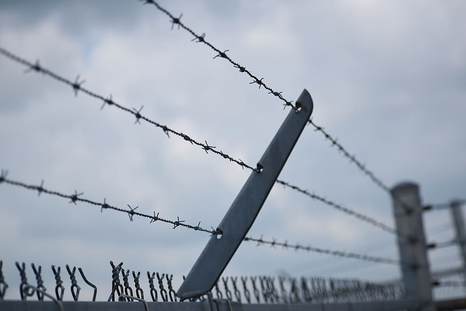 barb wire, barbed wire, fence, security, wire, barrier, obstacle, boundary, safety, protection
