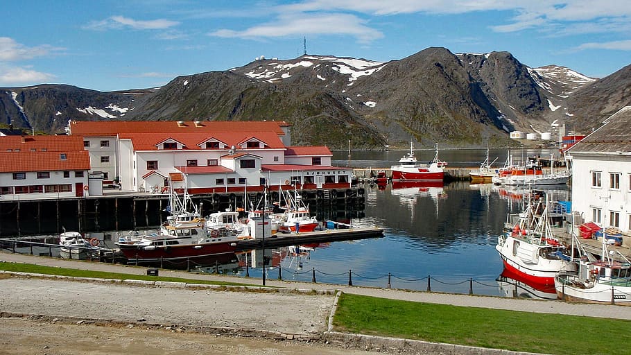 honningsvag, norway, scandinavia, port, summer, arctic, circle, mountain, nautical Vessel, fjord